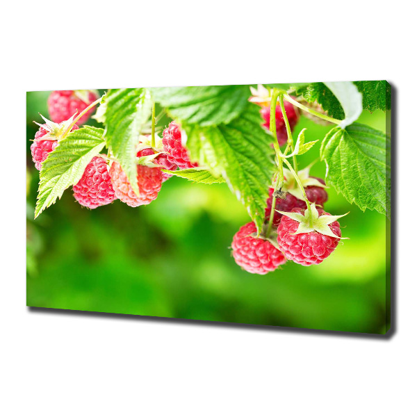 Fotobild Himbeeren im Garten