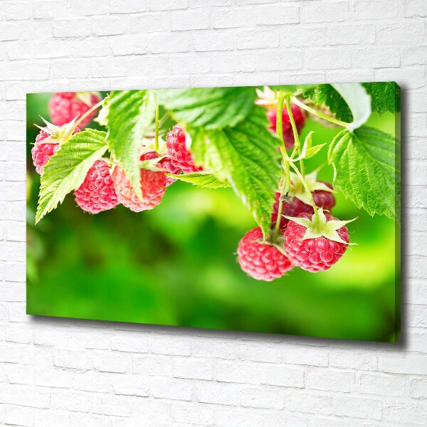 Fotobild Himbeeren im Garten