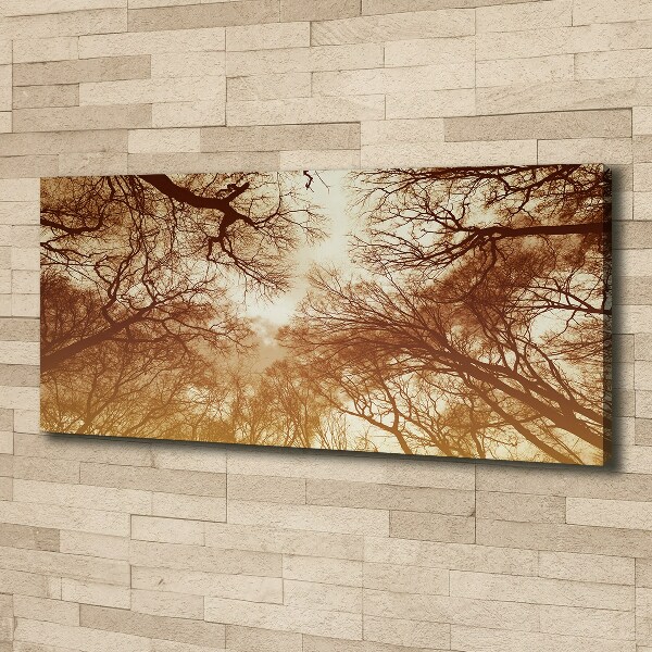 Bild auf leinwand Wald