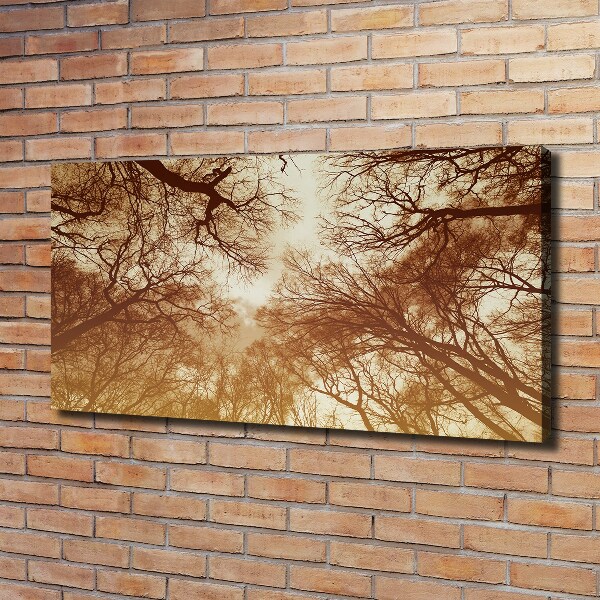 Bild auf leinwand Wald