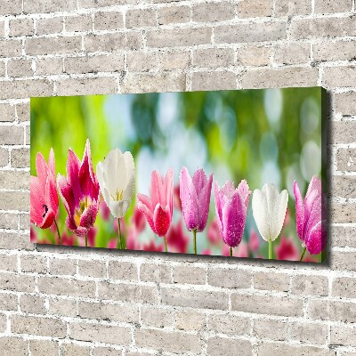 Bild auf leinwand Tulpen