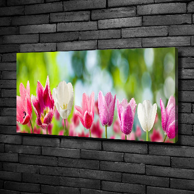 Bild auf leinwand Tulpen
