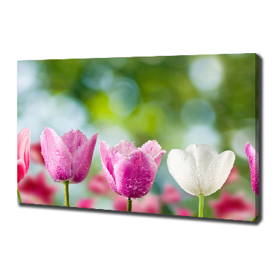Bild auf leinwand Tulpen