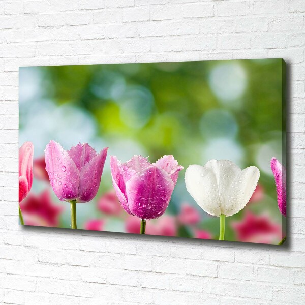 Bild auf leinwand Tulpen