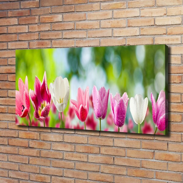 Bild auf leinwand Tulpen