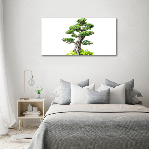 Wandbild Bonsai-Baum