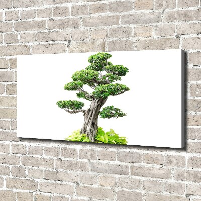 Wandbild Bonsai-Baum
