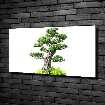 Wandbild Bonsai-Baum