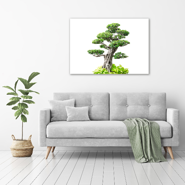 Wandbild Bonsai-Baum