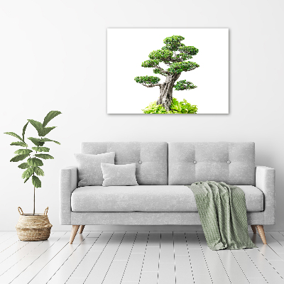 Wandbild Bonsai-Baum