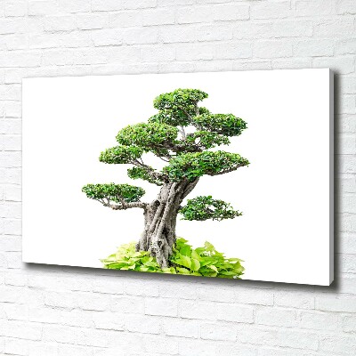 Wandbild Bonsai-Baum