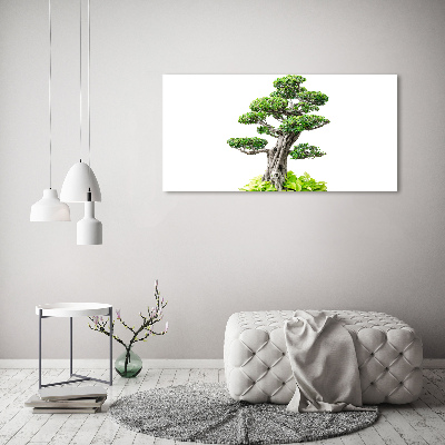 Wandbild Bonsai-Baum
