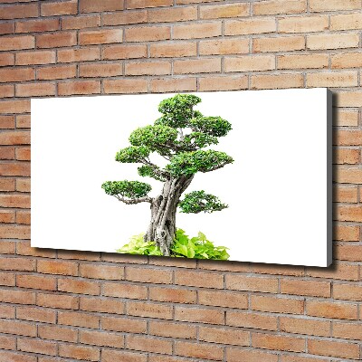 Wandbild Bonsai-Baum