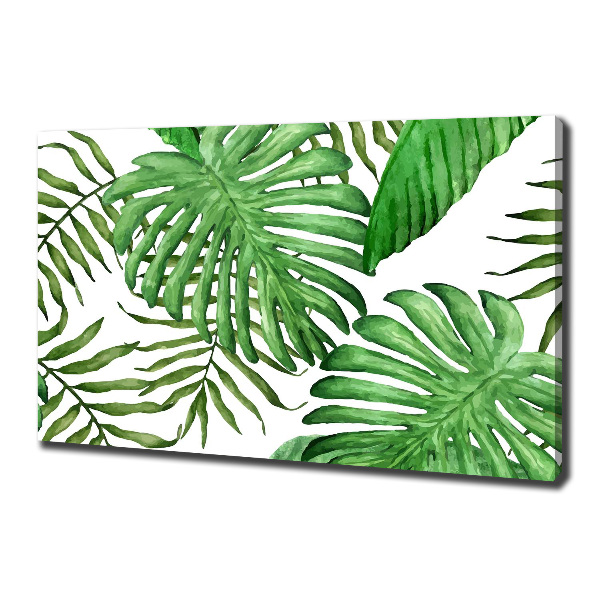 Fotobild Tropische Blätter