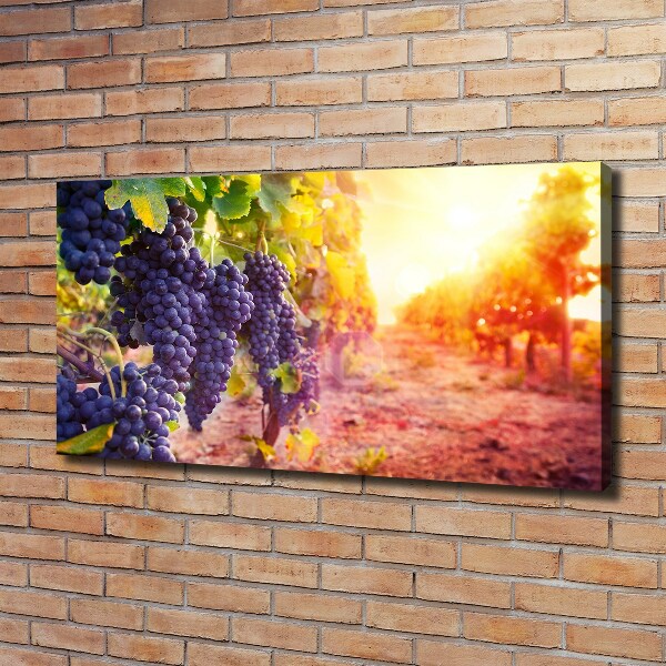 Wandbild Weinreben