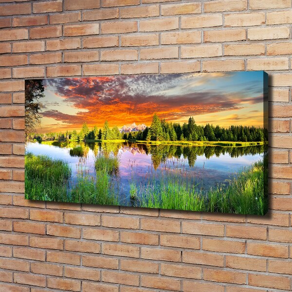 Bild auf leinwand Fluss im Wald