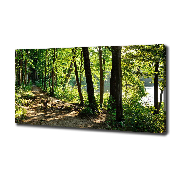 Wandbild Pfad in der Wiese