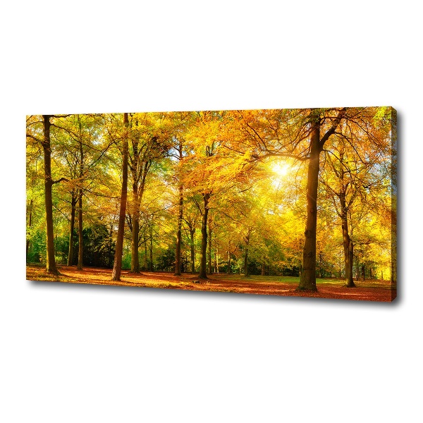 Bild auf leinwand Wald im Herbst