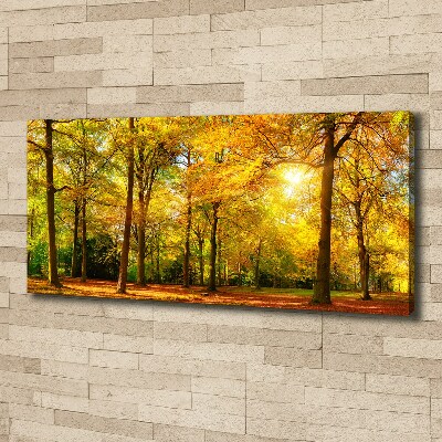 Bild auf leinwand Wald im Herbst