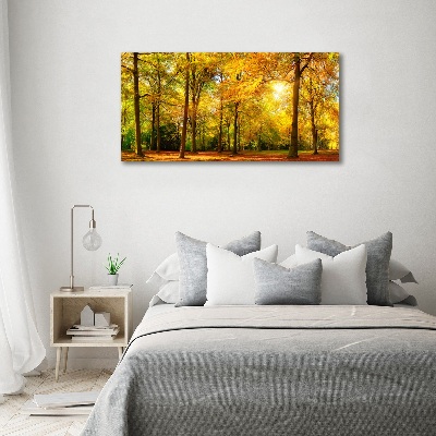 Bild auf leinwand Wald im Herbst