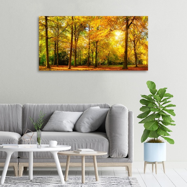 Bild auf leinwand Wald im Herbst
