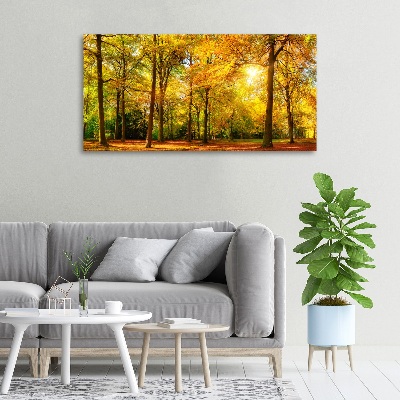 Bild auf leinwand Wald im Herbst
