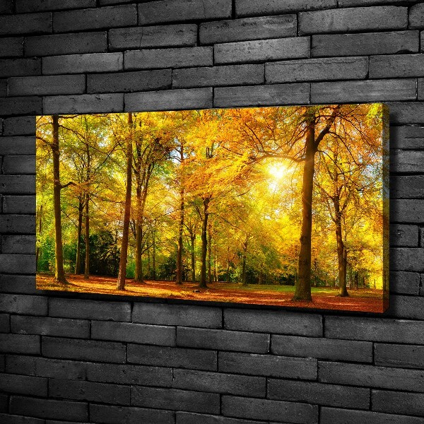 Bild auf leinwand Wald im Herbst