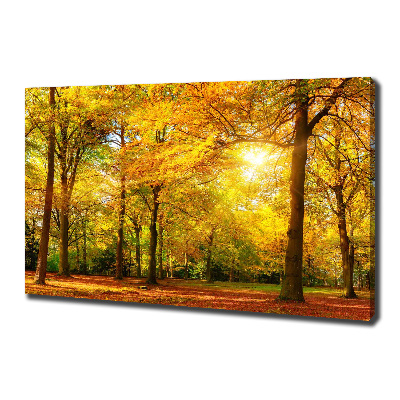 Bild auf leinwand Wald im Herbst