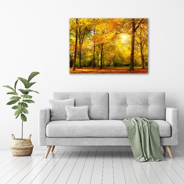 Bild auf leinwand Wald im Herbst