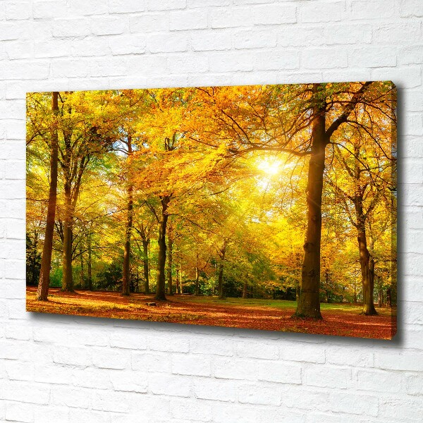 Bild auf leinwand Wald im Herbst