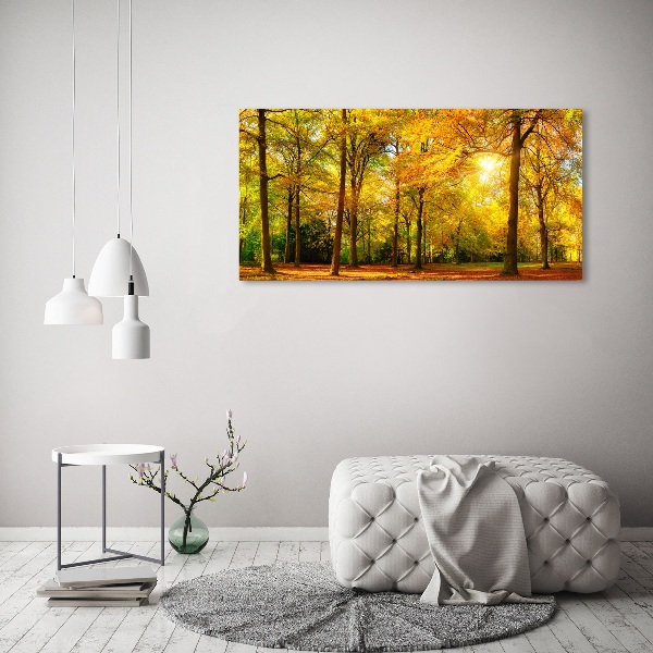 Bild auf leinwand Wald im Herbst