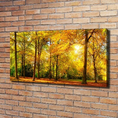 Bild auf leinwand Wald im Herbst
