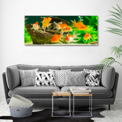 Wandbild Goldfisch