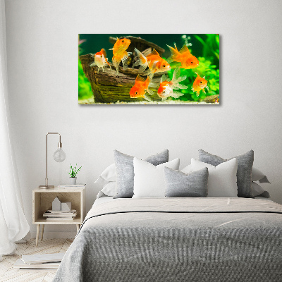 Wandbild Goldfisch