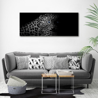 Fotobild Leopard