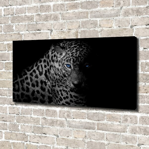 Fotobild Leopard