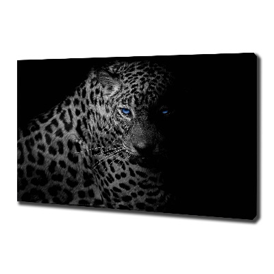 Fotobild Leopard