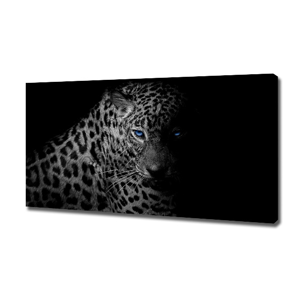 Fotobild Leopard