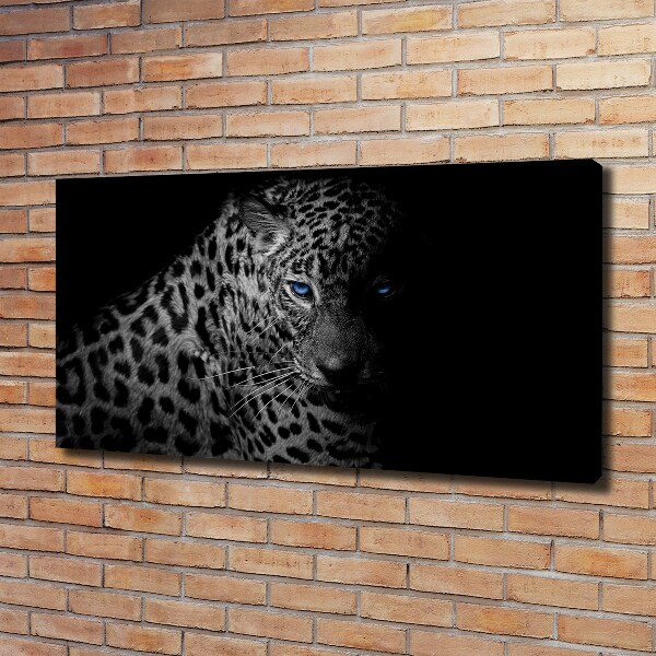 Fotobild Leopard