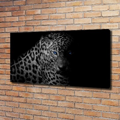 Fotobild Leopard