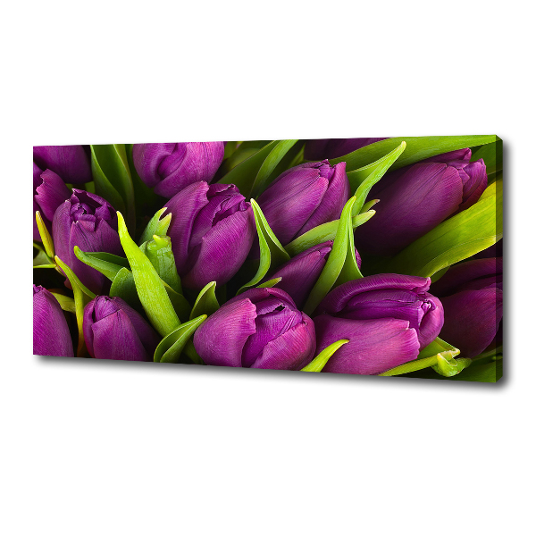Wandbild Lila Tulpen
