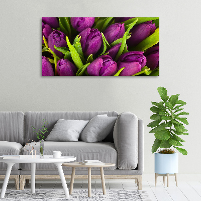 Wandbild Lila Tulpen