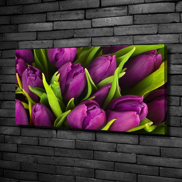 Wandbild Lila Tulpen
