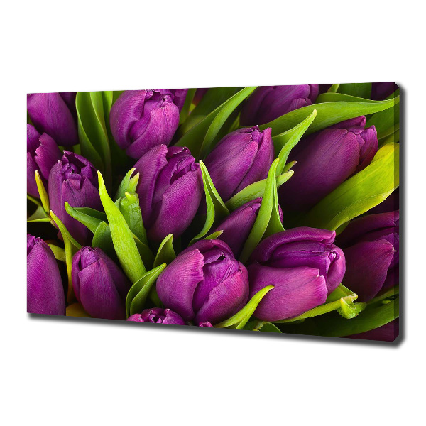 Wandbild Lila Tulpen