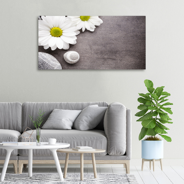 Fotobild Gerbera