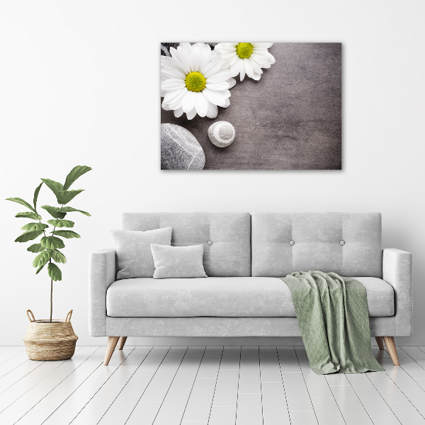 Fotobild Gerbera