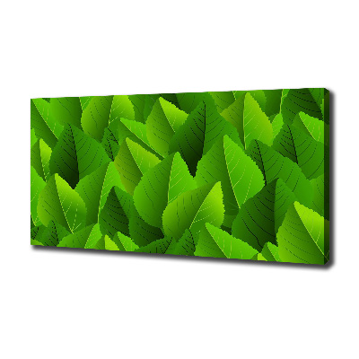 Wandbild Grüne Blätter