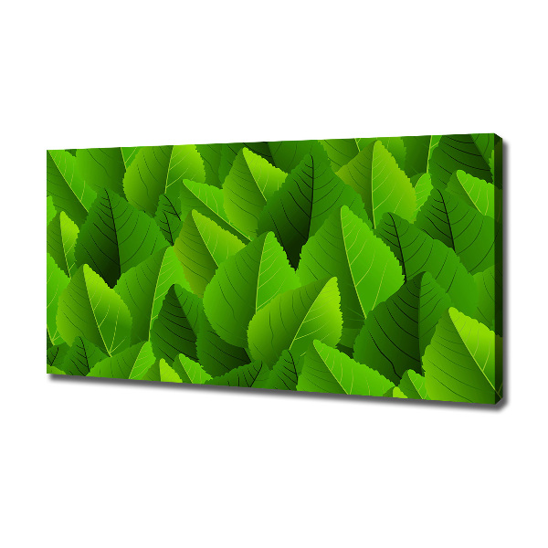 Wandbild Grüne Blätter