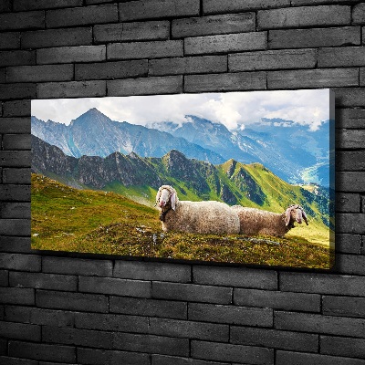 Bild auf leinwand Schafe in den Alpen