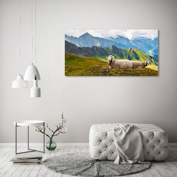Bild auf leinwand Schafe in den Alpen